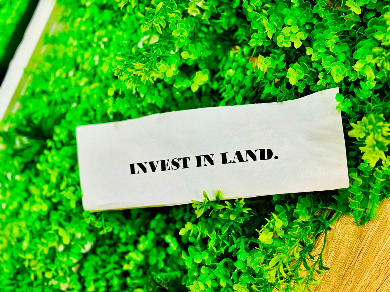 Motivational real estate message: Don’t wait to buy land — buy land and wait
